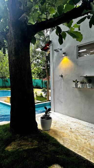 Serenity Farm Stay Hampapura ภายนอก รูปภาพ