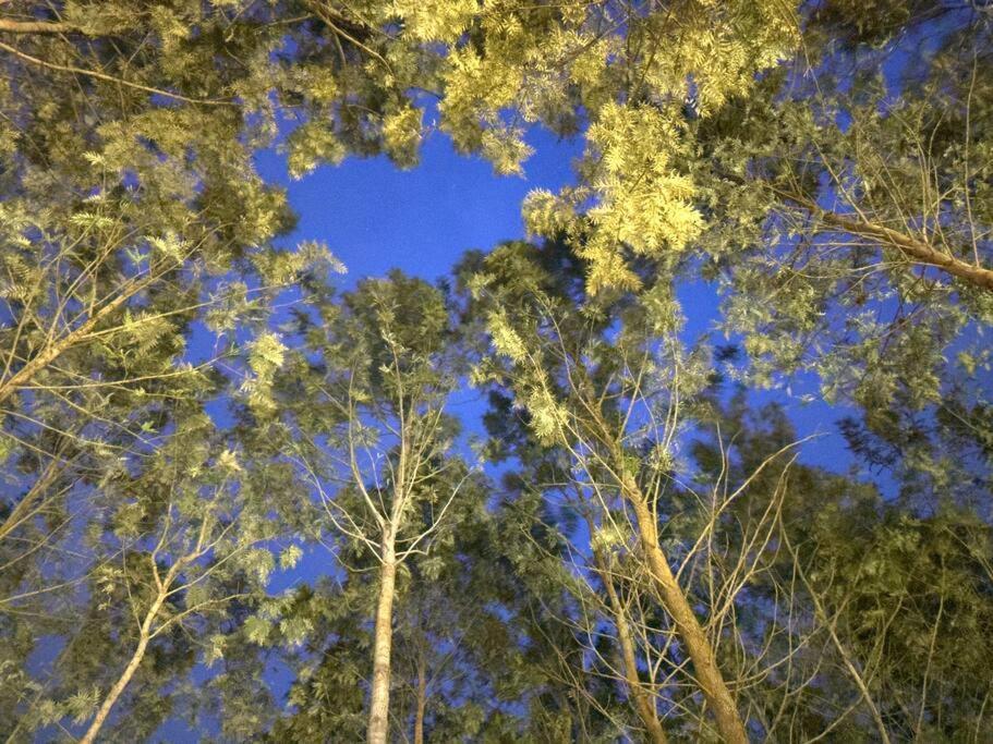Serenity Farm Stay Hampapura ภายนอก รูปภาพ