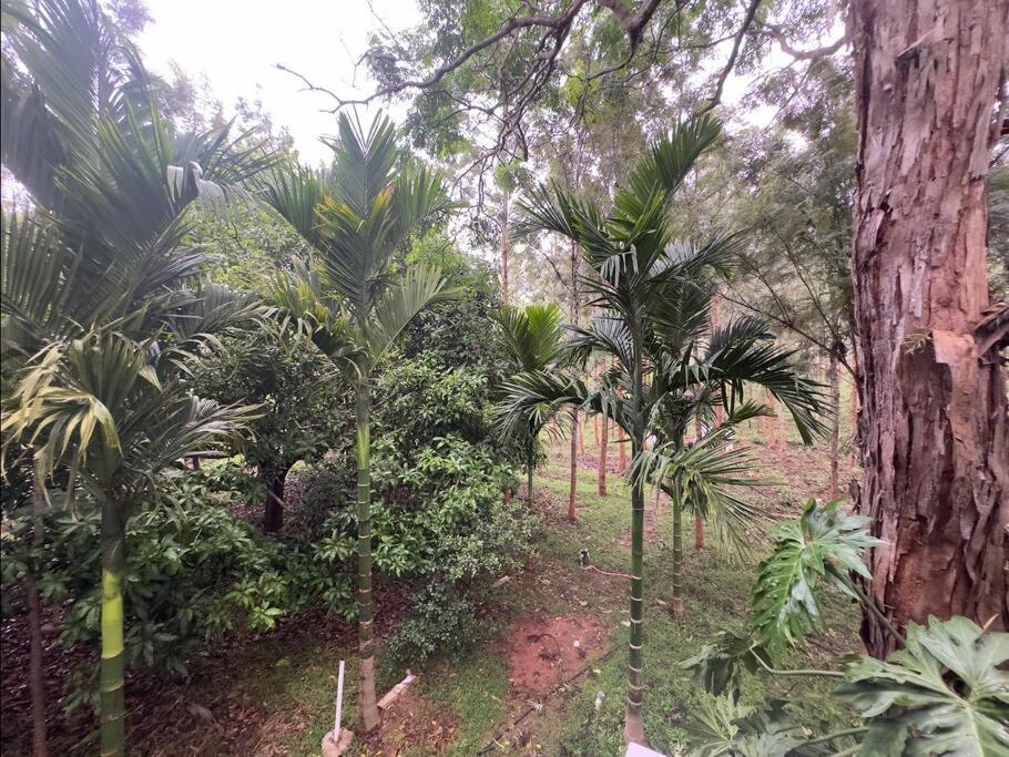 Serenity Farm Stay Hampapura ภายนอก รูปภาพ